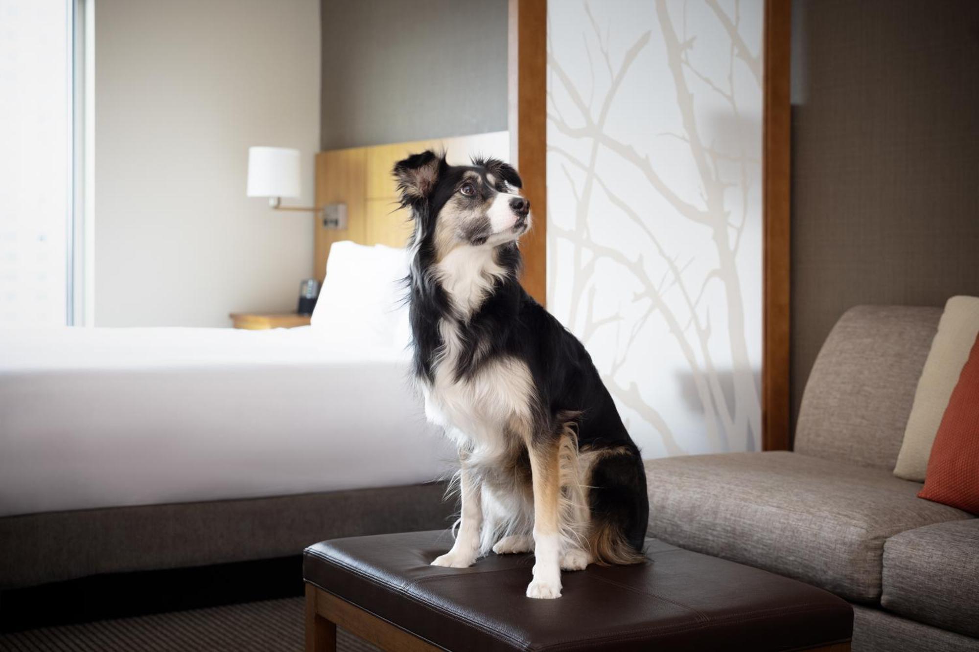 Hyatt Place Denver Downtown Екстер'єр фото